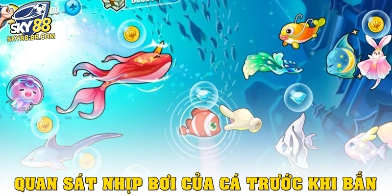 Kinh Nghiệm Chơi Bắn Cá Hiệu Quả Cho Mọi Game Thủ Tại Sky88 3 Quan sát nhịp bơi của cá trước khi bắn